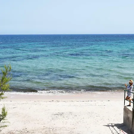 Is Morus * Pula